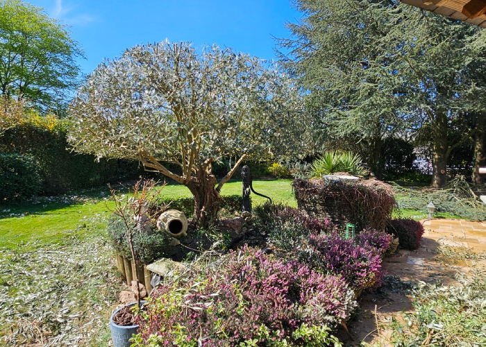Jardin paysager entretenu par Arbolag avec taille d’arbres, arbustes et espaces verts soignés