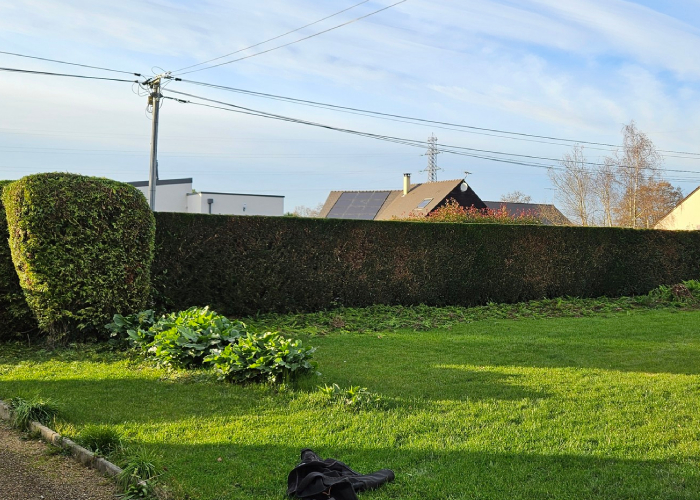 Haie taillée et jardin entretenu par Arbolag pour un espace vert propre et structuré